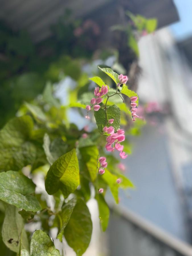 Hotel 月光荘沖縄 Naha Exteriér fotografie